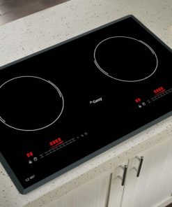 Bếp Từ Canzy CZ 86P - 10 Bếp Từ Canzy CZ 86P