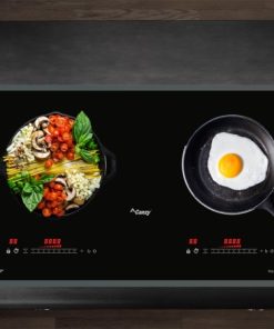 Bếp Từ Canzy CZ 86P - 11 Bếp Từ Canzy CZ 86P