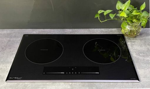 Bếp Từ Eurosun EU-T710 PRO Silver - 13