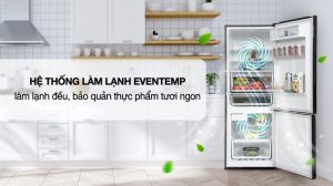 Tủ Lạnh Electrolux Inverter 308 Lít EBB3402K-H - 29