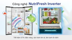 Tủ Lạnh Electrolux Inverter 571 Lít ESE6141A-BVN - 37