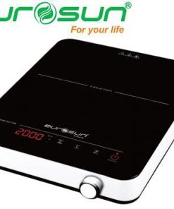 Bếp Từ Đơn Eurosun EU-T198