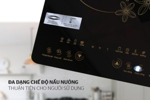 BẾP TỪ CẢM ỨNG SUNHOUSE SHD6800 - 9