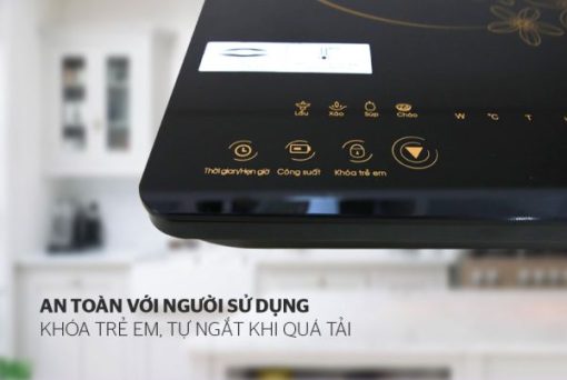 BẾP TỪ CẢM ỨNG SUNHOUSE SHD6800 - 11