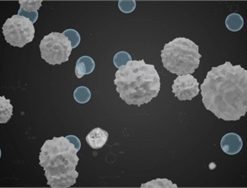 ROBOT HÚT BỤI LAU NHÀ HUBERT HB-B68-W - 48 ROBOT HÚT BỤI LAU NHÀ HUBERT HB-B68-W - 47