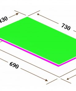 Bếp Điện Từ Canzy CZ TL869DH