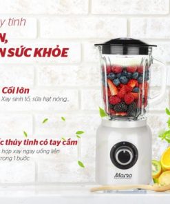 Máy xay sinh tố đa năng SUNHOUSE MAMA SHD5353W - 19