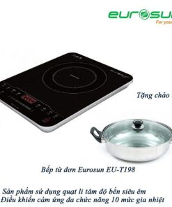 Bếp Từ Đơn Eurosun EU-T196