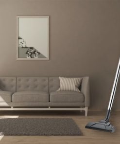 Máy Hút Bụi Electrolux EC31-2BB - 29