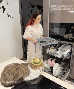 Máy rửa chén âm tủ BOSCH HMH.SMU68TS02E|Serie 6 - 382 Máy rửa chén âm tủ BOSCH HMH.SMU68TS02E|Serie 6 - 381