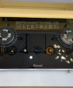 Bếp gas âm Rinnai RB-7902S-GBS - 33