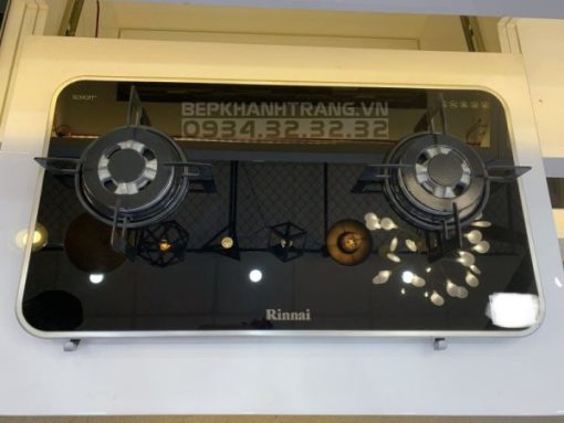 Bếp gas âm Rinnai RB-7902S-GBS - 9