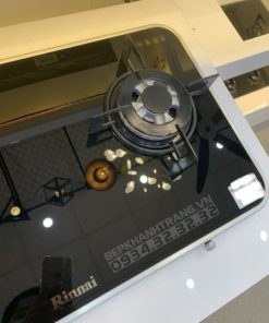 Bếp gas âm Rinnai RB-7902S-GBS - 39