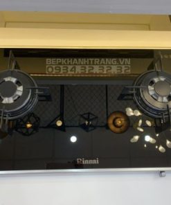Bếp gas âm Rinnai RB-7902S-GBS - 43