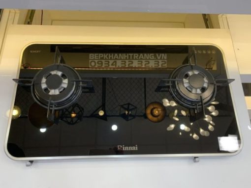 Bếp gas âm Rinnai RB-7902S-GBS - 19