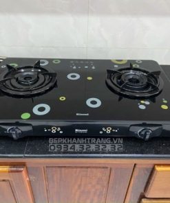 Bếp Gas Rinnai RV-715Slim(GL-D) - 30 Bếp Gas Rinnai RV-715Slim(GL-D) - 29