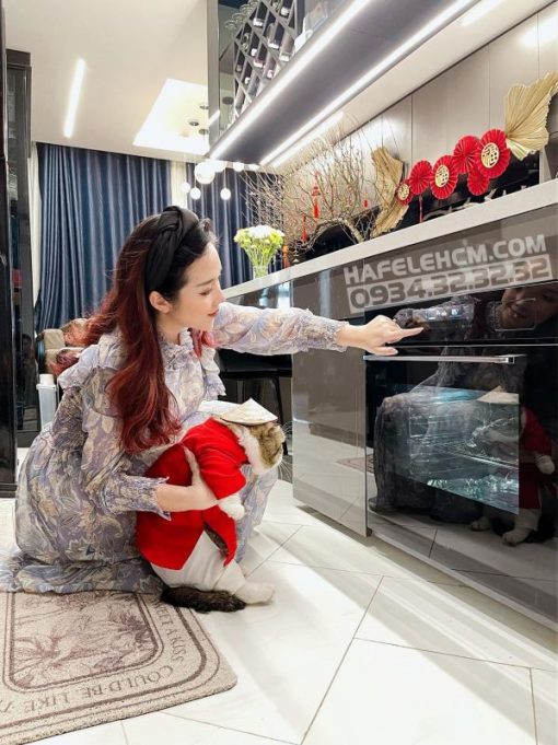 Lò nướng kết hợp hấp âm tủ 72 lít HSO-8T72A, Series 800, 538.61.461 - 19
