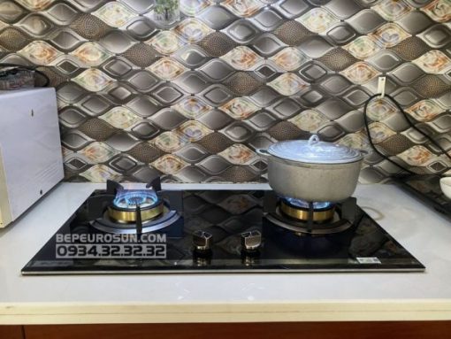 Bếp Gas > Bếp Gas Âm - 7