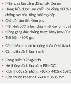 Bếp Gas > Bếp Gas Âm - 39