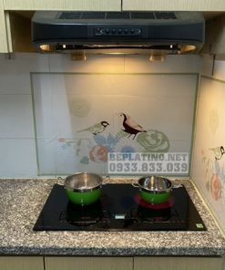 BẾP ĐIỆN TỪ LATINO GS 545 IH - 123