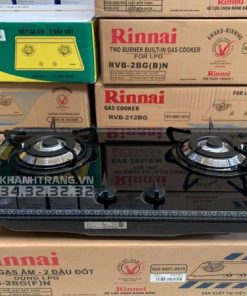 Bếp Gas Âm Rinnai RVB-2BG(F)N - 17