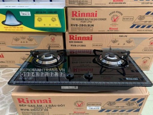 Bếp Gas Âm Rinnai RVB-2BG(F)N - 9