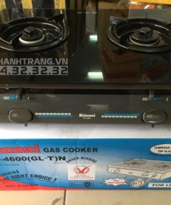 Bếp Gas Rinnai RV-4600(GL-T)N - 13
