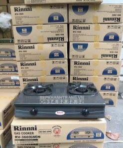 Bếp Gas Rinnai RV-360(GM)N - 13
