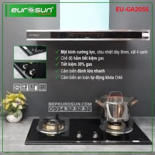 Bếp Gas > Bếp Gas Âm - 19