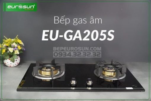 Bếp Gas > Bếp Gas Âm - 25