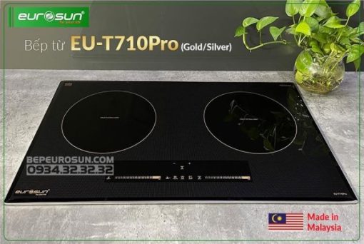 Bếp Từ Eurosun EU-T710 PRO Silver - 11