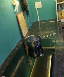 BẾP ĐIỆN TỪ LATINO GS 545 IH - 141