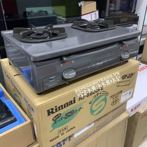 Bếp Gas Rinnai RJ-9600E(NHAT) - 117