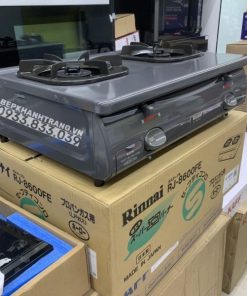 Bếp Gas Rinnai RJ-9600E(NHAT) - 269