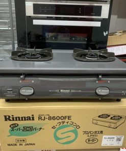 Bếp Gas Rinnai RJ-9600E(NHAT) - 263