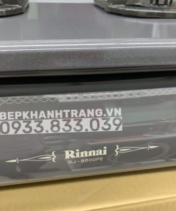 Bếp Gas Rinnai RJ-9600E(NHAT) - 261