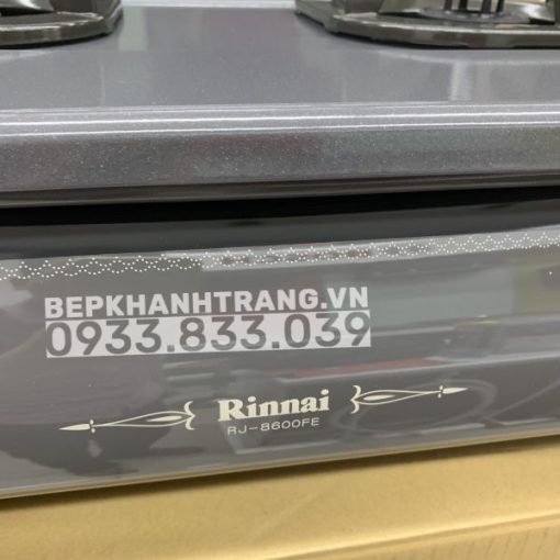 Bếp Gas Rinnai RJ-9600E(NHAT) - 101