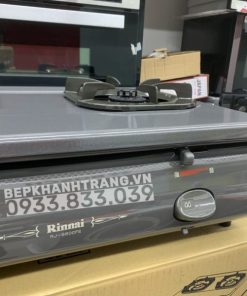 Bếp Gas Rinnai RJ-9600E(NHAT) - 257
