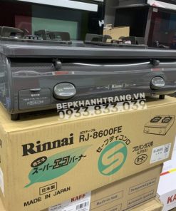 Bếp Gas Rinnai RJ-9600E(NHAT) - 255