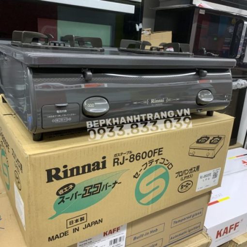 Bếp Gas Rinnai RJ-9600E(NHAT) - 95