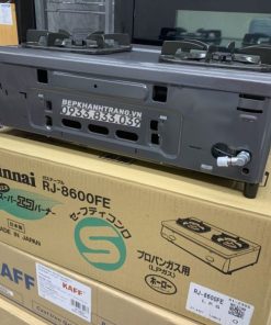 Bếp Gas Rinnai RJ-9600E(NHAT) - 243