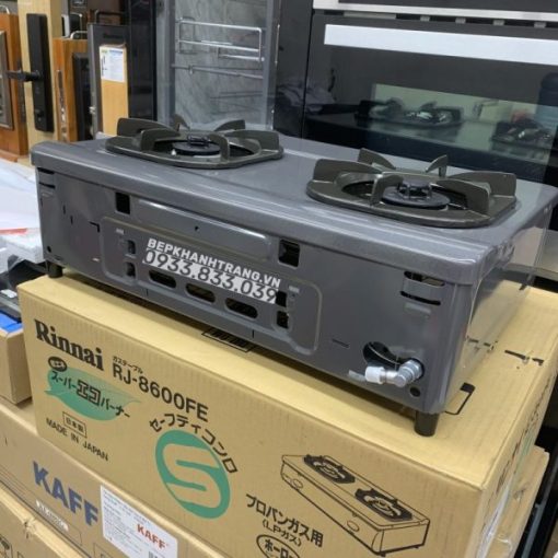 Bếp Gas Rinnai RJ-9600E(NHAT) - 75