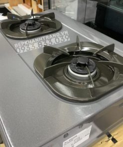 Bếp Gas Rinnai RJ-9600E(NHAT) - 225