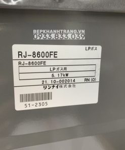 Bếp Gas Rinnai RJ-9600E(NHAT) - 221