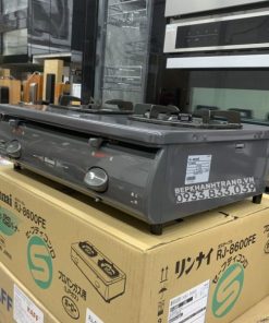 Bếp Gas Rinnai RJ-9600E(NHAT) - 217