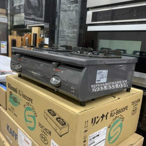 Bếp Gas Rinnai RJ-9600E(NHAT) - 57