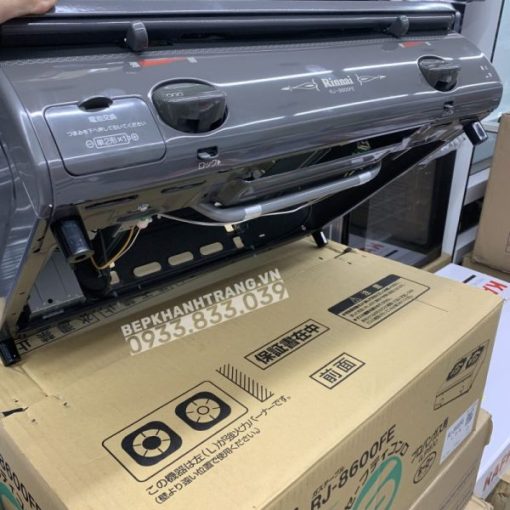 Bếp Gas Rinnai RJ-9600E(NHAT) - 55