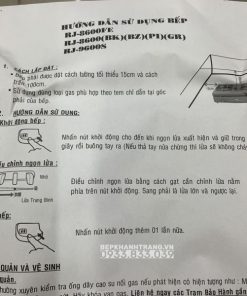 Bếp Gas Rinnai RJ-9600E(NHAT) - 167