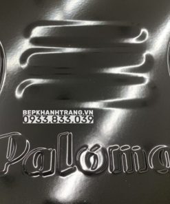 Bếp gas Paloma PA-V72ES - 119