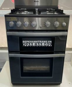 BẾP GA THÙNG RINNAI RSF-BM23 SP678 - 19